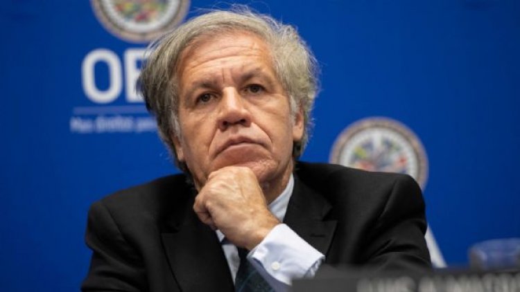 Almagro revela que sólo buscó «asegurar la presencia» de veedores de la OEA el 20-O