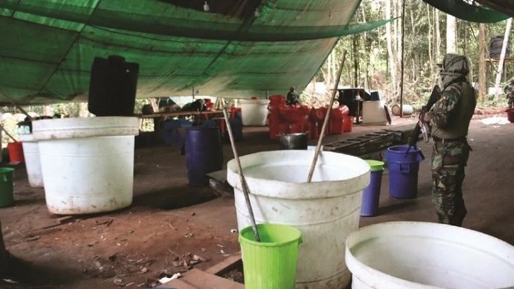 FELCN destruye 13 laboratorios de droga en la Amazonia del país