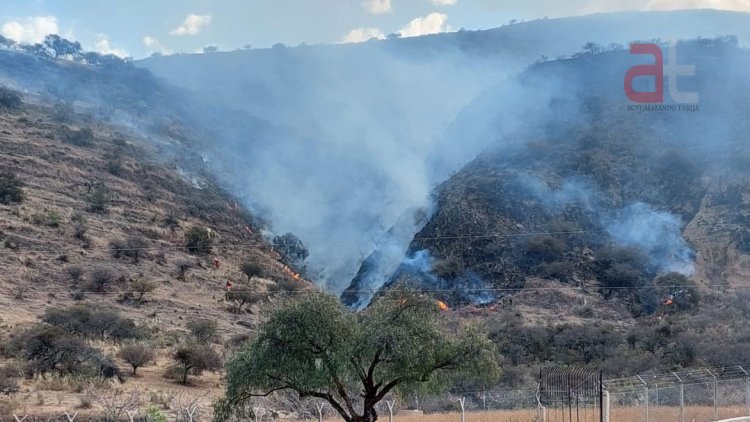Oportuna labor de bomberos en Tarija evita incendios de Magnitud