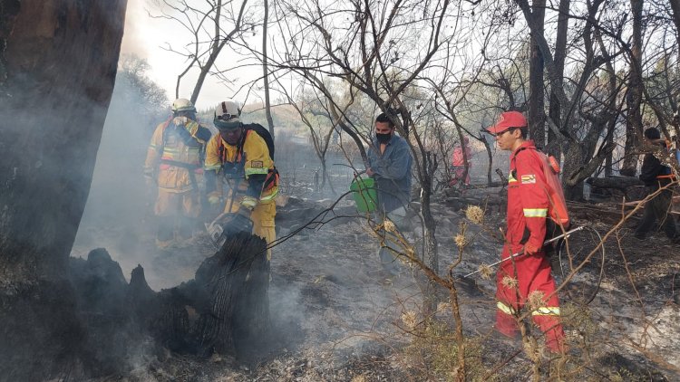 Incendio en la comunidad de Turumayo atento contra la naturaleza y el ser humano
