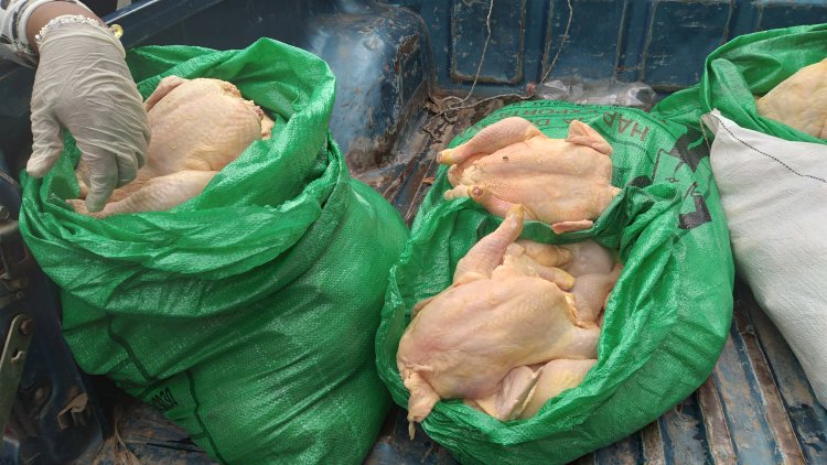 En Tarija decomisan más de 150 kilos de pollo no apto para el consumo