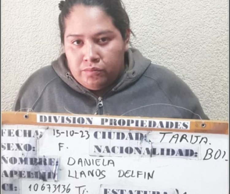 Agredieron e intentaron robaron a una ciudadana en el Mercado Campesino de Tarija
