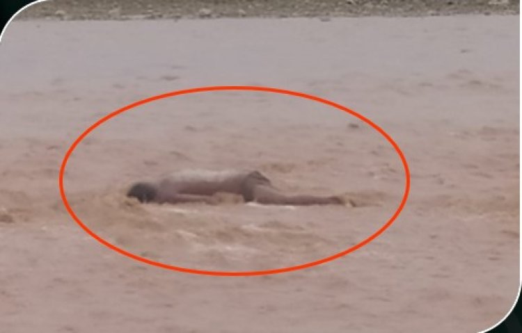 El cuerpo sin vida de un hombre fue encontrado en el rio Pilcomayo, aun se desconoce su identidad