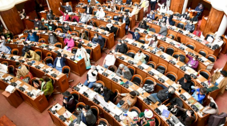 Diputados asegura que la Asamblea promulgará ley de elecciones si Áñez no lo hace